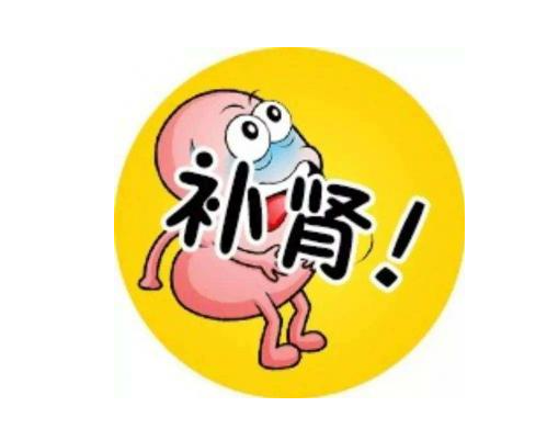 斑龙丸, 用来固肾强精,固本培元之用，类似于仙丰制作的鹿茸99号