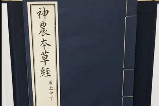 倪海厦《神农本草经》视频全集合